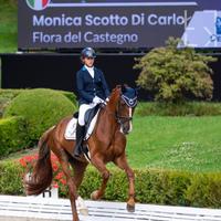Cavalla da dressage