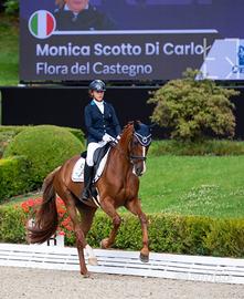 Cavalla da dressage