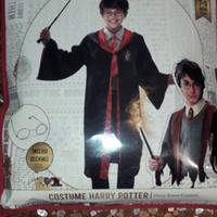 Costume HARRY POTTER
