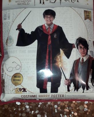 Costume HARRY POTTER