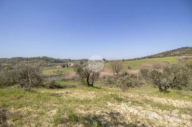 TER. AGRICOLO A PALOMBARA SABINA