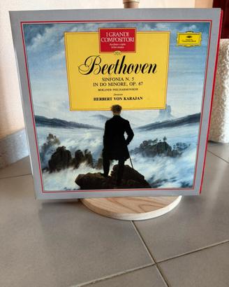 Lotto 8 vinili musica classica beethoven