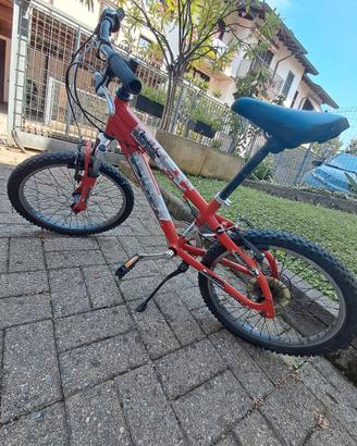 Mountain bike