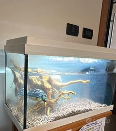 Acquario per pesci/tartarughe