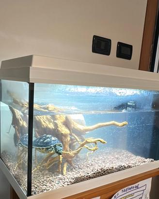 Acquario per pesci/tartarughe