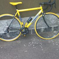 Daccordi taglia M forcella in carbonio