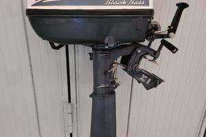 Motore Selva 8cv 4t gambo lungo