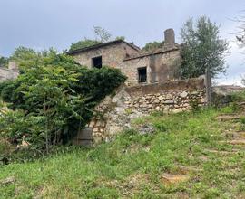 3 LOCALI A TARQUINIA