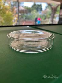 CAPSULE PETRI per esperimenti da laboratorio