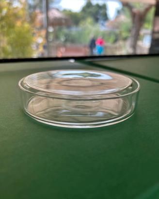 CAPSULE PETRI per esperimenti da laboratorio
