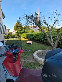 Piaggio Beverly 350