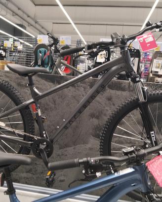 bicicletta 29"