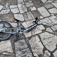 Tout Terrain Streamliner - tag along cammellino