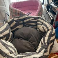 Accessori cagnolino piccola taglia