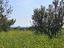 Immagine 21