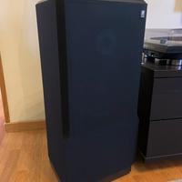 Diffusori Teledyne Acoustic Researc AR 93