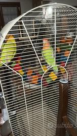 Inseparabili