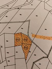 TERRENI+VIGNA con ricovero atrezzi