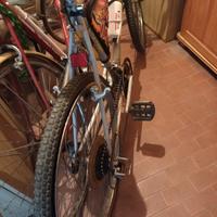 mountain bike Atala 