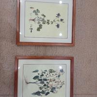 Coppia di Quadri con Stampe Botaniche Vintage