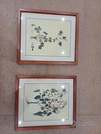 Coppia di Quadri con Stampe Botaniche Vintage