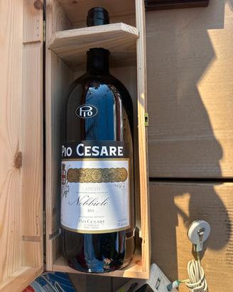 Vino pio cesare