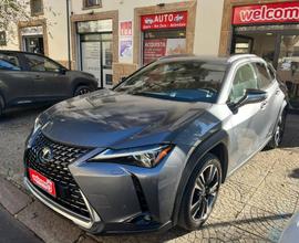 Lexus UX 2.0 Executive 4wd cvt