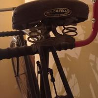 Bicicletta freni a bacchetta 