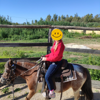 Pony Castrone