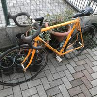 Bici da corsa Bottecchia
