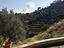 Immagine 11