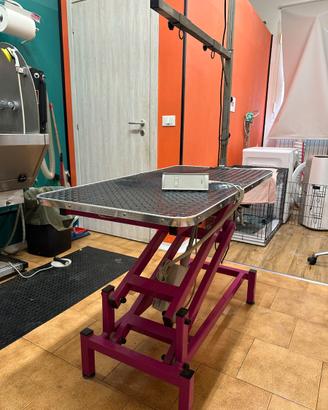 Tavolo elettrico professionale da toelettatura
