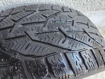 Gomme invernali