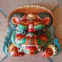 Maschera protettrice 