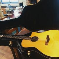 chitarra acustica fender ga 45