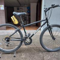 Bicicletta per ragazzo