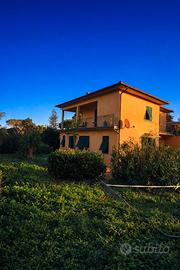 Appartamento all isola d Elba ( procchio)