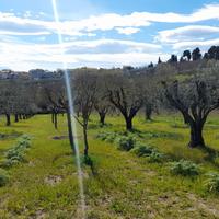 Terreno edificabile ed agricolo