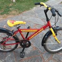 bicicletta mountain bike