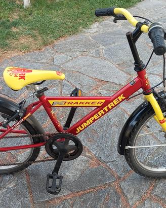 bicicletta mountain bike