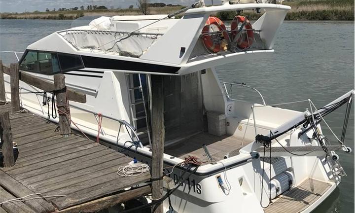 Dellapasqua DC 11S Fly