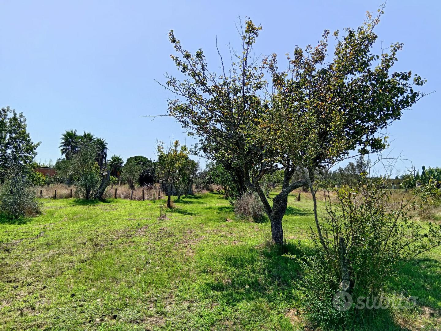 Terreno agricolo 32 aree - Vista 5