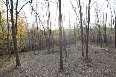 Rif.RT396D_9| terreno agricolo volpago del montel