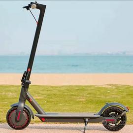 Monopattino Elettrico 