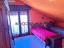 Immagine 7
