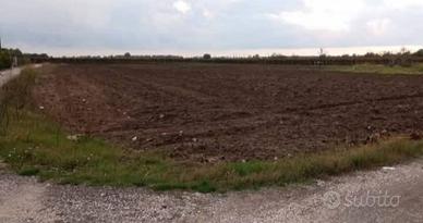 Terreno seminativo