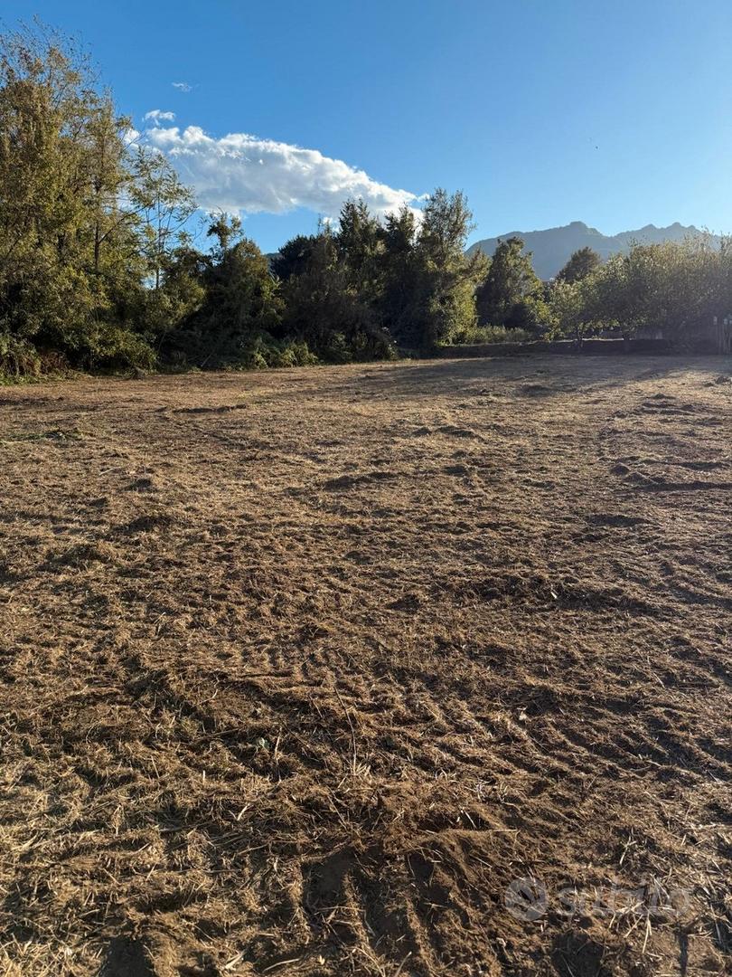 Terreno con deposito : ideale per azienda agricola - Vista 4