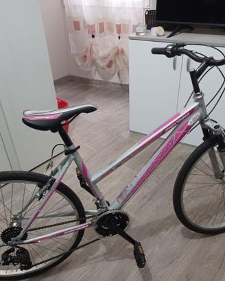 Bicicletta mountain bike