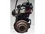 Immagine 4