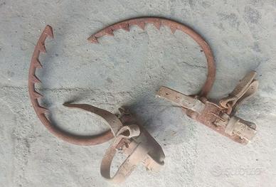 Coppia ramponi e cinghia